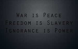 Msg, msg, typography, HD wallpaper