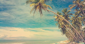 Våra bästa tips om Bentota, Sri Lanka, HD wallpaper