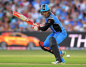 Alex Carey, HD wallpaper