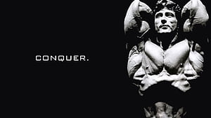 Conquer, Arnold Conquer, HD wallpaper