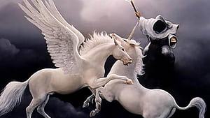 Unicorn Pegasus, HD wallpaper