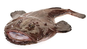 What Is Monkfish And How Do You Cook With It?, HD wallpaper