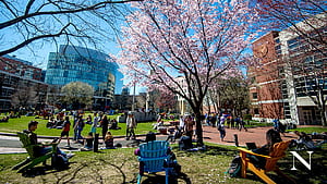 these Zoom virtual background to bring Northeastern home Global News, Northeastern University, HD wallpaper