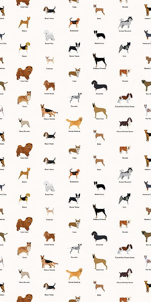 Dog Pattern, HD phone wallpaper