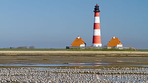 Schleswig Holstein Wadden Sea National Park, Schleswig-Holstein, HD wallpaper