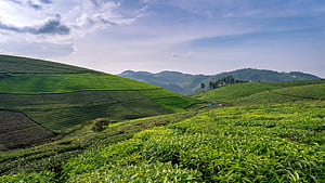 Coonoor Guide, See, Do & Stay. Luxury Travellers' Guide Stays Blog, HD wallpaper