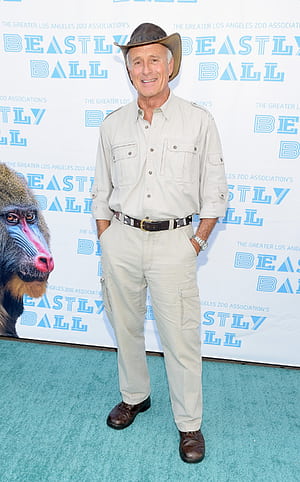 Jack Hanna's Family Opens Up About His, HD phone wallpaper