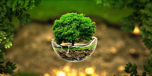 Save Environment, HD wallpaper