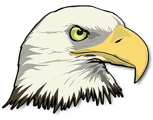 Eagle Head, HD wallpaper