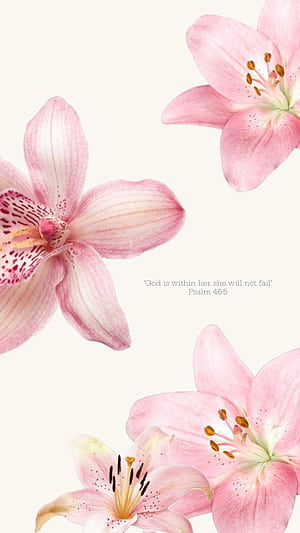 Phone Inspo. Lily flower, Flower aesthetic, Flower, HD phone wallpaper