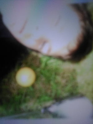 Mclovin, HD phone wallpaper