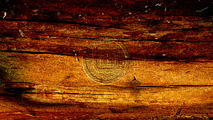 Linux, Linux Mint, Technology, HD wallpaper