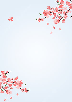 Comparison Background ,, Compare, HD phone wallpaper