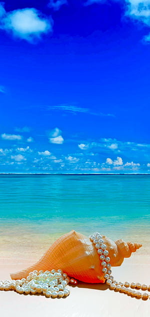 Phone : Shell, Horizon, Pearl, graphy, Tropical, Summer, Nature, Beach, Cloud, Sky 1318288, HD phone wallpaper