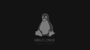 Minimal distraction linux logo, GNU Linux, HD wallpaper