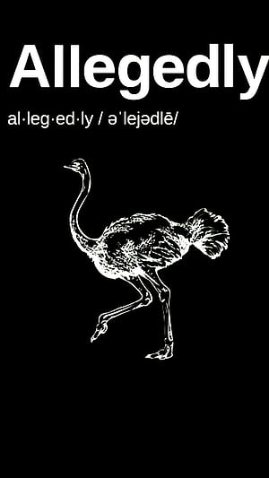 px, . Letterkenny, shoresy, cravetv, phone, HD phone wallpaper