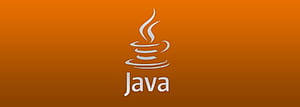 Sriven IT, Java Logo, HD wallpaper
