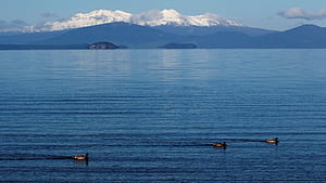 Alert level raised on New Zealand's giant Taupo volcano of Earth's largest eruption in past 000 years, Lake Taupo, HD wallpaper