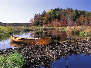 Adirondack , Niagara Falls, Wild New York , , The Gates, Central Park, NYC, Prospect Park, New York City , Fire Island, Chittenango Falls, Marcy Dam Wall Paper, Gore Mtn, Lake, LAKE PLACID, HD wallpaper