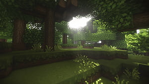 Minecraft Forest, HD wallpaper