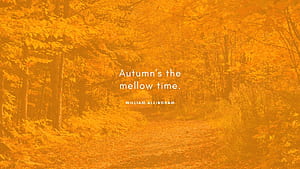 Time For Fall Computer, HD wallpaper