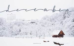 Tech Winter, HD wallpaper