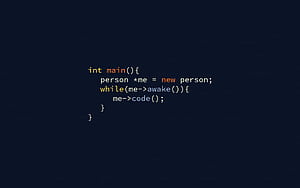 Funny Coding, Coding Meme, HD wallpaper