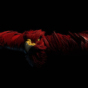 Jack Red Eagle, HD phone wallpaper