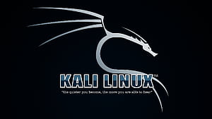 Kali 2015 V1.1.0. Stephen Smith's Blog, Linux Security, HD wallpaper