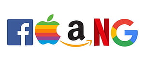 competitive coding. Coding, FAANG, HD wallpaper