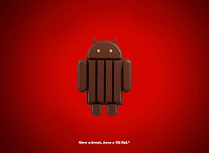 Kit Kat Android, Android Kitkat, HD wallpaper