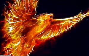 Fire Eagle, Red Eagle, HD wallpaper