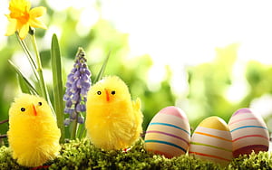 Easter Day, HD wallpaper