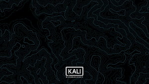 Edited Kali Linux . []. Edited For Color Transparency, Linux Security, HD wallpaper