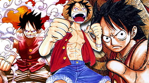 I Know One Piece Is Great, But There's One Thing About the Anime That Puts Me Off, Luffy Head, HD wallpaper