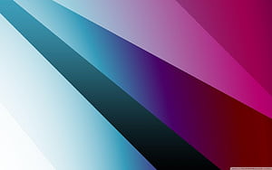 Vector Background, Purple Vector, HD wallpaper