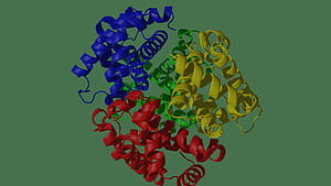 All you need to know about enzymes, HD wallpaper