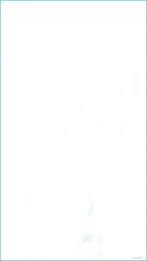 Solid White, Vertical White, HD phone wallpaper