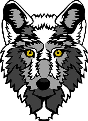 Wolf Vector, HD phone wallpaper