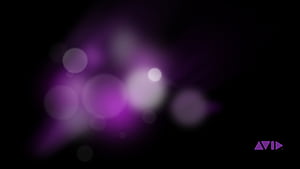 AVID, HD wallpaper