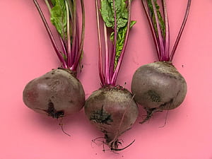 Beetroot, HD wallpaper