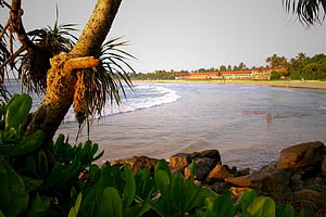 Discover Bentota: Sri Lanka's Beach Paradise and Top Attractions, HD wallpaper