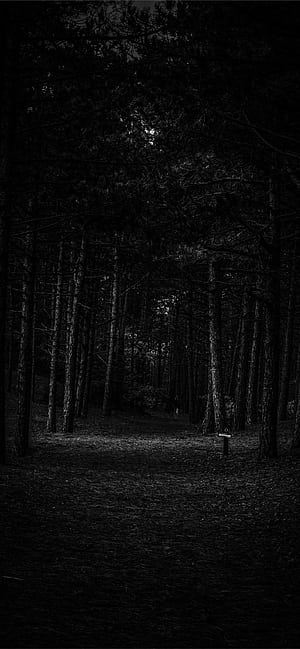 Best Dark iPhone, Black, HD phone wallpaper