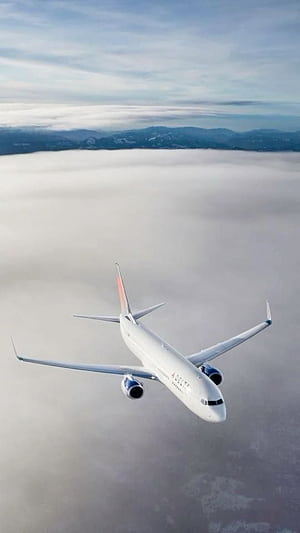 Delta Air Lines • Boeing 737 832, HD phone wallpaper