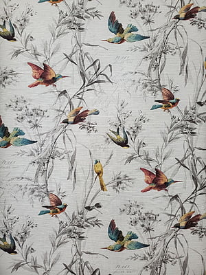 Winter Bird Pattern, HD phone wallpaper