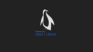 Linux users around the world, GNU Linux, HD wallpaper