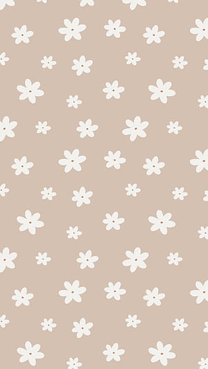 and customizable neutral templates, Cute Basic, HD phone wallpaper