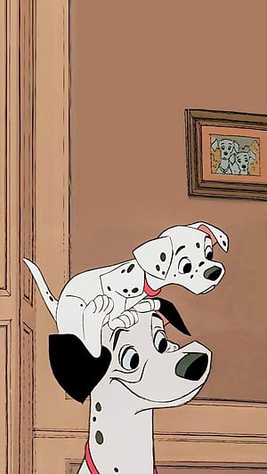 Pongo, HD phone wallpaper