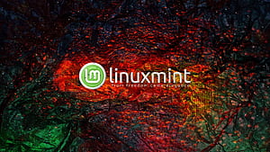 Technology Linux Mint, Linux Cinnamon, HD wallpaper