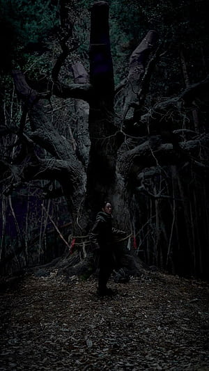 Exhuma, HD phone wallpaper